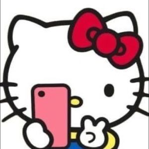 Meet your Posher, Priscilla